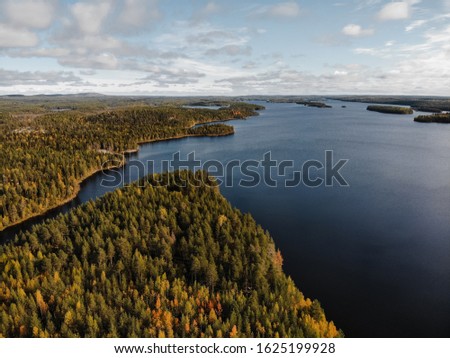 Beautiful view of the lake and forest, taken from above with a drone, aerial bright picture, Murmansk region, Russia