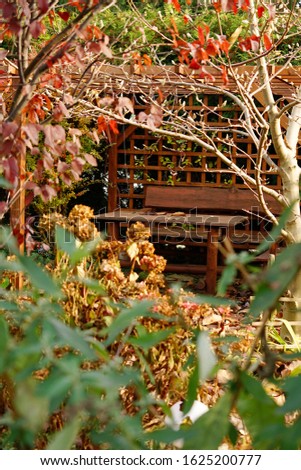 pergola with table and chairs in the autumn garden