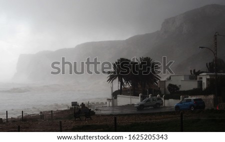 

Hurricane Gloria at sea shore of Costa Blanca at Denia, province  Alicante, Spain. Palm trees and damaged road, strong wind, high waves.