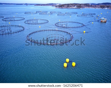 aquaculture with net puller aside Pier