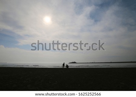 a silhouette picture of a mother and child playing affectionately against the beach.