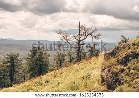 Mountainous relief nature forest Trip to the mountains Royalty-Free Stock Photo #1625254573