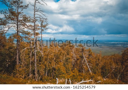 Mountainous relief nature forest Trip to the mountains Royalty-Free Stock Photo #1625254579