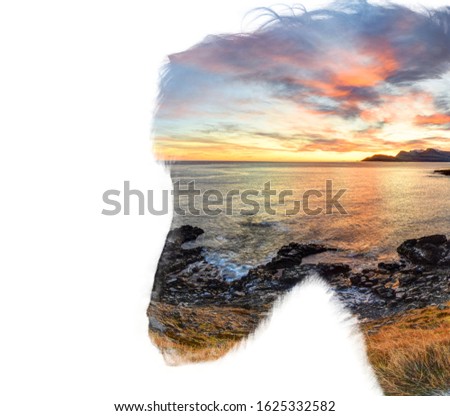 Double exposure of icelandic horse head with photograph of sunset landscape inside. Horse head is on a white background