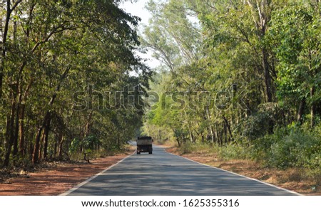 Road in a forest in south India. Canopy of trees are often found on such roads.