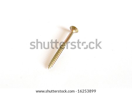Golden screw on white background.