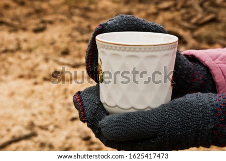 A cup of tea in warm palms in mittens on a winter day. A hot drink in the hands of an old grandmother close-up.
