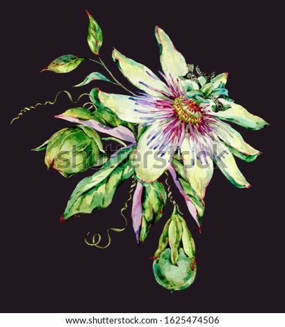 Watercolor Passiflora greeting card, flowers, leaves. Vintage floral natural collection. Set of scrapbook objects for party, wedding, birthday. Hand drawn illustration.