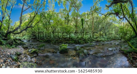 Long exposure panorama picture of a river flowing through a rain forest on the island of Taiwan during daytime