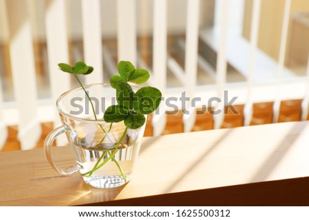 Four leaf clover in a glass