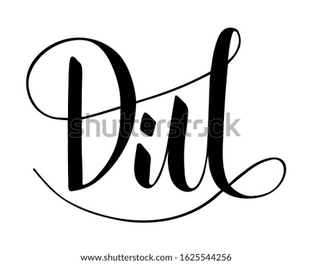 Vector hand written dill text isolated on white background. Kitchen healthy herbs and spices for cooking. Script brushpen lettering with flourishes. Handwriting for banner, poster, product label