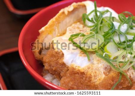 Tonkatsu or Japanese deep fried pork cutlet with rice. 