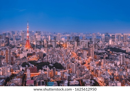 Beautiful twilight scene of Tokyo Tower and urban skyline, Tokyo, Japan.