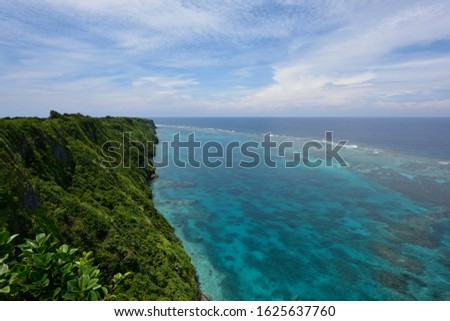 Sea turtle swims in blue sea seen from high cliff