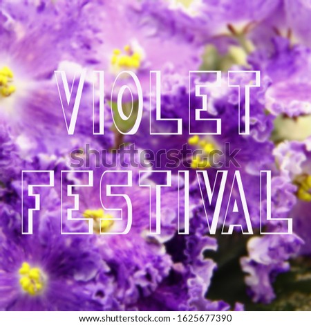 Congratulations text on a Violet festival on a purple background with blurry purple flowers. Exhibition of violets. Winter flowers. Copy space for your text.