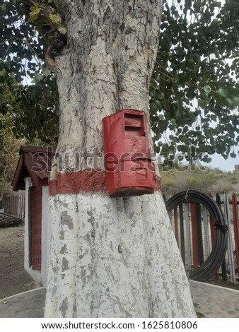 Letter box hang on the tree photo at Pakistani railway station photo