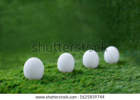 white chicken eggs on green grass, which are a symbol for the celebration of the Easter religious holiday among Christians and Catholics