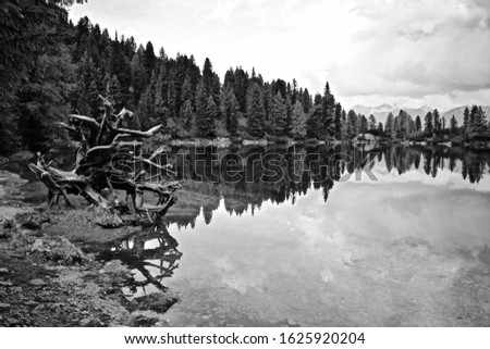 B&W Pictures of wood on a small hidden lake on the alps