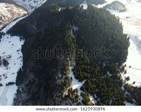 Winter in Brasov country , Romania ( Cheile Gradistei ) 