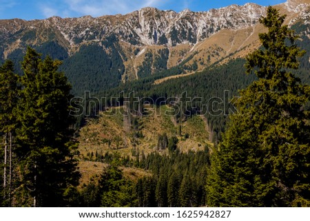 
The effects of deforestation in the heart of the Piatra Craiului National Park in Romania.