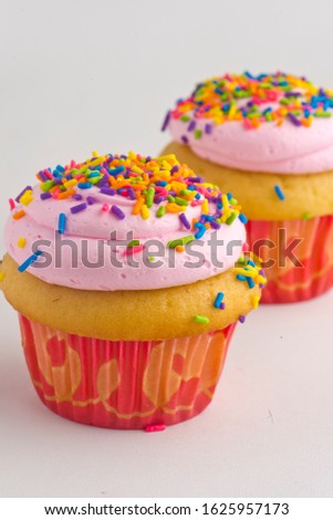 Vanilla Cupcakes. Cupcakes with vanilla icing, pink buttercream frosting and topped with rainbow sprinkles. Classic Traditional American Bakery dessert favorite.