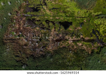 Aerial photography of Cape Cod`s awesome marshlands and pure wilderness. The picture shows green environment and an infinite diversity of the nature.