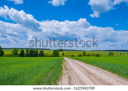 panorama of a field of sky and forest
