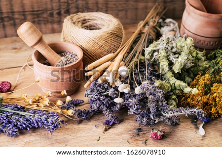 Harvesting medicinal herbs, alternative medicine, Ayurveda, dried flowers