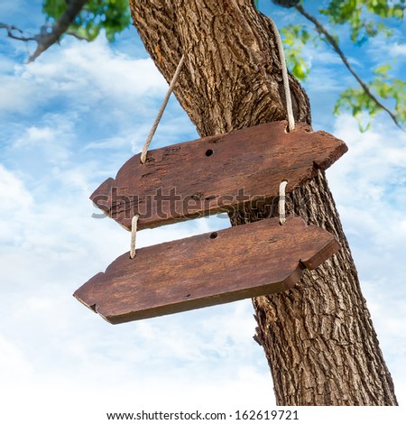 Wooden Signboard is Hanging on the Tree
