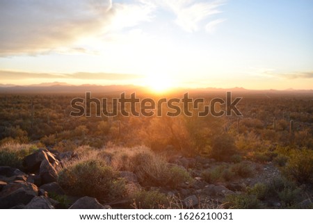 Sonoran Sunset - Saguaro National Park, Arizona