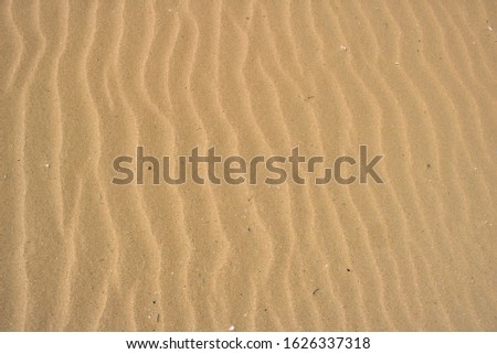 This unique photo shows the beautiful structure that the rippled sea leaves in the sand
