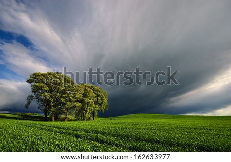 Gathering Storm over wheat field