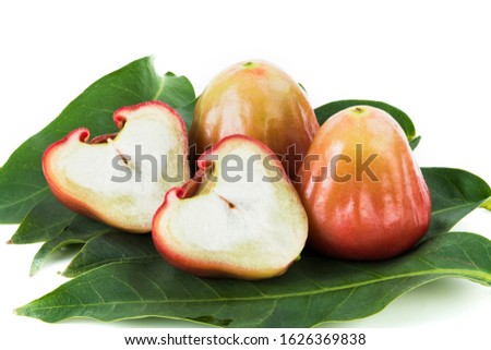 wax apples isolated on white background