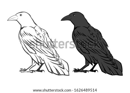 Black and white ravens. Vector