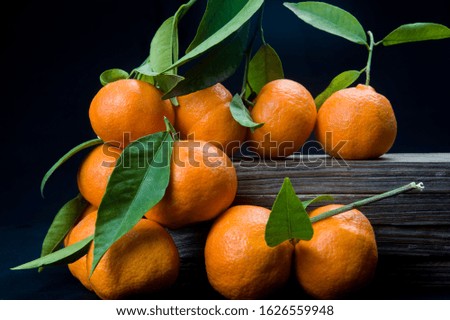 organic tangerines with leaves on black background