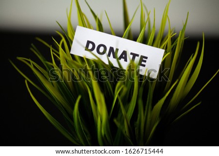 Donate plant with dollars on wood desk