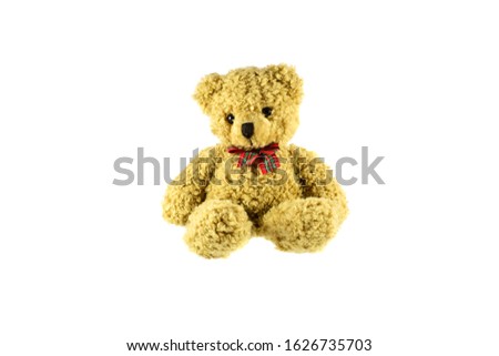 Beautiful teddy bear isolated on white background.