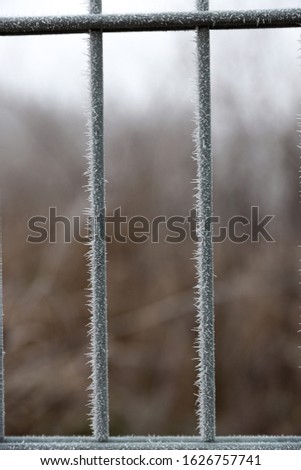 frozen iron mesh fence in winter