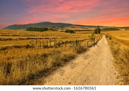 The road to Santiago in Navarra at dawn, Spain Royalty-Free Stock Photo #1626780361