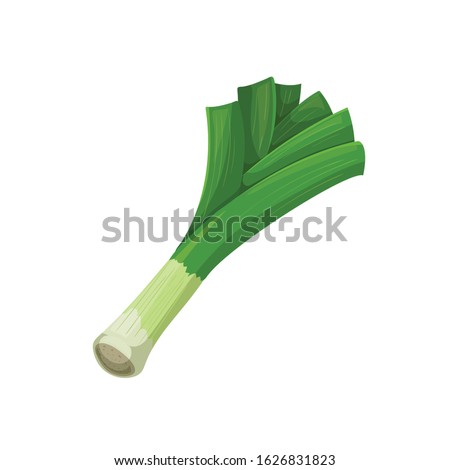 Leek in cartoon style. Healthy food. Farm fresh veggie just from the garden. Organic eco vegetable for salads. Vector illustration isolated on white background. Royalty-Free Stock Photo #1626831823