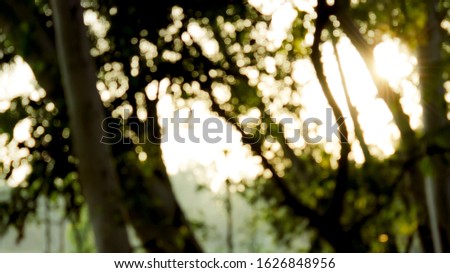 Blurred jungle image with strong light flare coming through leaves.