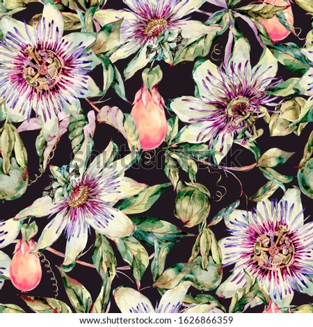 Watercolor Passiflora seamless pattern, flowers, leaves. Vintage floral natural texture. Hand drawn wallpaper on black background