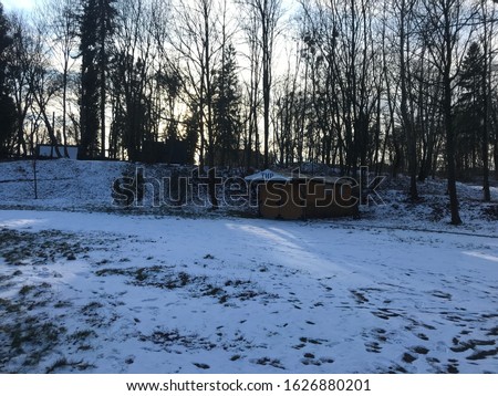 trees play park wooded wooden seat benches snowy winter season interesting different images natural backgrounds.