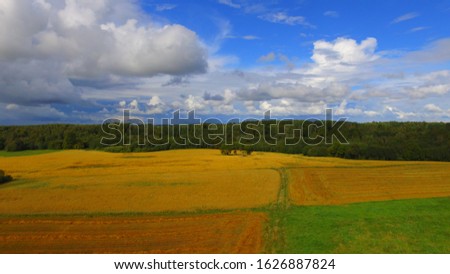 Yellow grain and green grass fields with clouds in the drone flight