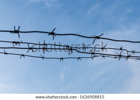Barbed wire against the blue sky.