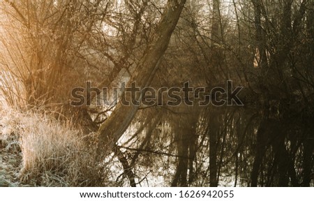 Calm river with wild trees and frosty grass