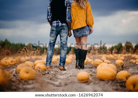 A young couple of farmers stand in a pumpkin field and look at the harvest. Crop at ground level.