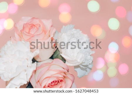 Pink roses and white asters on a pink background with bokeh.