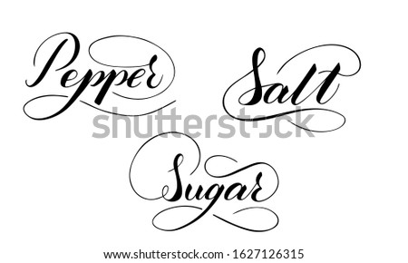 Vector hand written pepper, salt and sugar text isolated on white background. Kitchen sweet spices for cooking. Script brushpen lettering with flourishes. Handwriting for banner, poster, product label