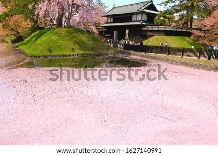 Hirosaki Castle, one of Japan's best cherry blossom spots